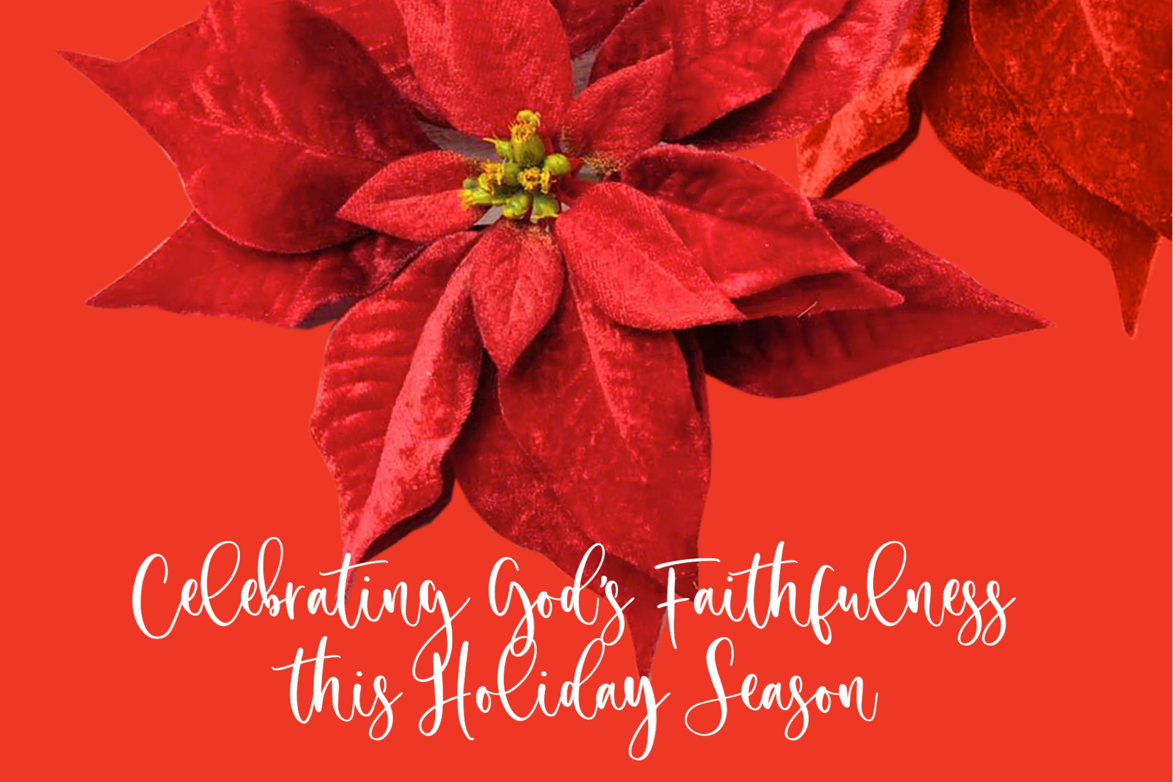 Celebrating God's Faithfulness This Holiday Season